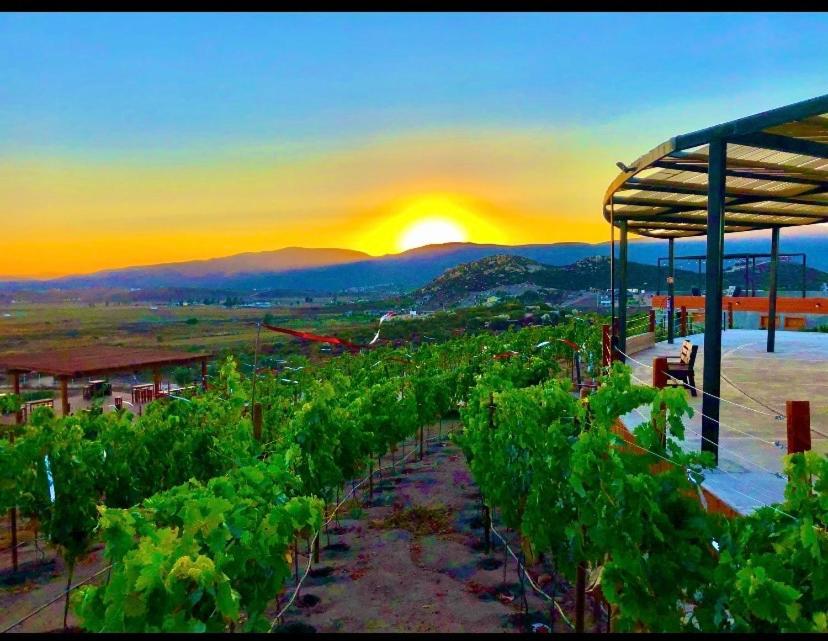 Siempre Valle Hotel Boutique Valle de Guadalupe Exterior photo